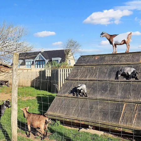 Semesterbostad Cozy In Løkken