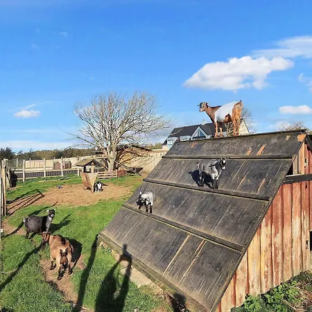 Cozy In Semesterbostad *