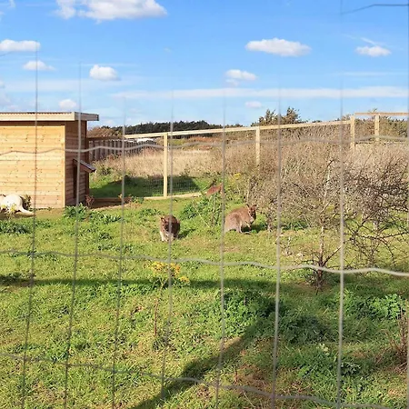 Cozy In Semesterbostad Løkken